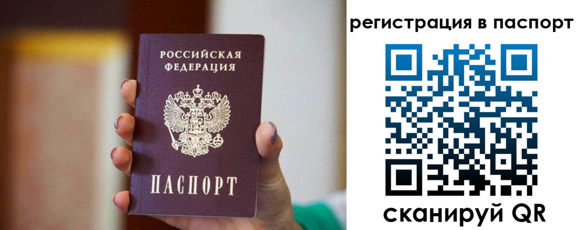 временная регистрация гарантия в Ельне