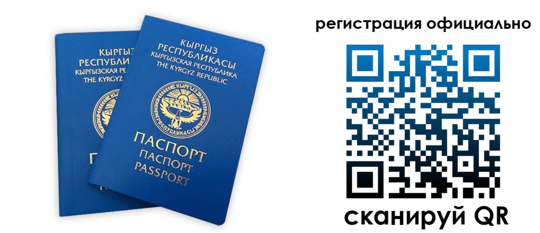прописка поиск в Ельне